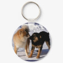Puppy play Keychains