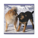 Puppy play Magnets