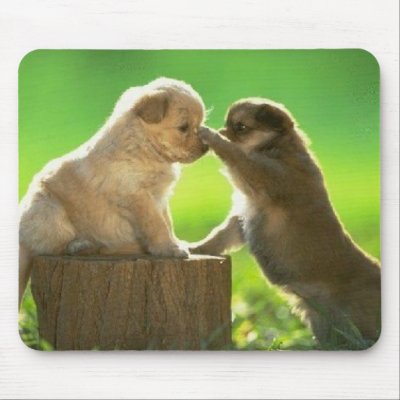 pictures of puppies playing. PUPPY PLAY MOUSE PAD by