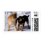 Puppy play  Stamps