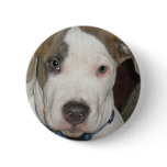 Puppy Polo Pins