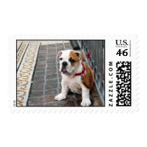 puppy postage stamp