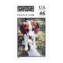Puppy postage