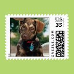 Puppy Stamp