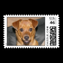 Puppy Postage stamps