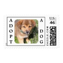 Puppy Postage postage