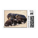 Puppy Postage #8 postage