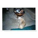 "Puppy" posters