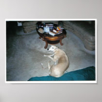"Puppy" Posters