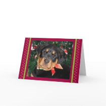 Puppy Prints Holiday Photo Card - Red by maboles Puppy Prints Holiday Photo Card - Red