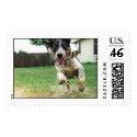 Puppy Puddles postage