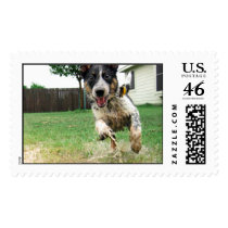 Puppy Puddles postage