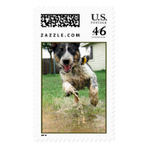 Puppy Puddles postage by weaseldrift Puppy Puddles postage