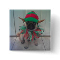 Puppy Pug Elf square button, pin