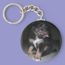 PUPPY RASPBERRY KEYCHAIN keychains