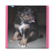 Puppy raspberry magnet