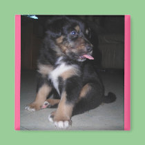 Puppy raspberry magnet