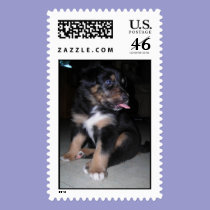 Puppy raspberry postage stamps