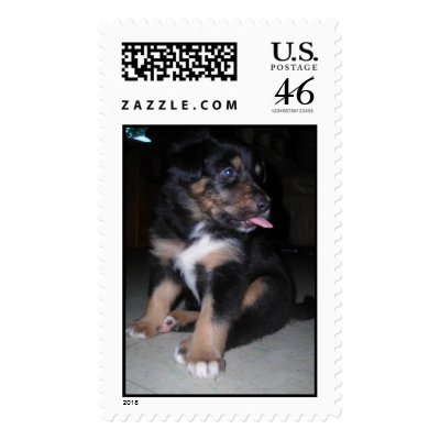 Puppy raspberry postage