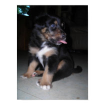Puppy raspberry posters by minx267 Puppy raspberry posters