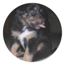 Puppy raspberry stickers