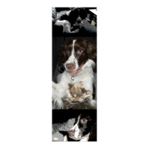 Puppy Rooney posters