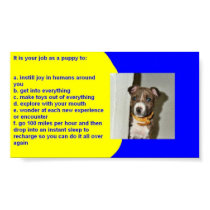PUPPY RULES posters