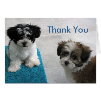 Thank You For Pet Sitting Cards | Zazzle