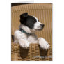 Puppy Sleeping In Chair Greeting Card