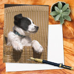 Puppy Sleeping In Chair Post Cards