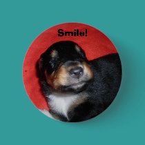 Puppy Smile buttons