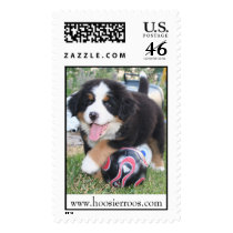 Puppy Soccer Mia Stamp