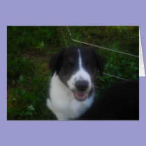 Puppy speaks card *customize* cards