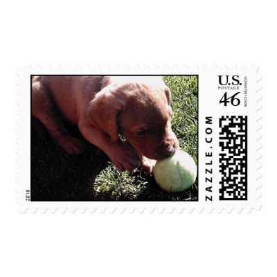 Puppy Stamp by dragonfire097