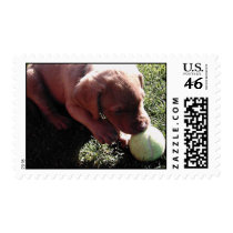Puppy Stamp by dragonfire097 Puppy Stamp