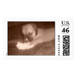 Puppy Stamp