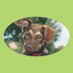 Puppy Sticker