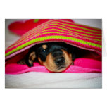 Puppy Thank you card