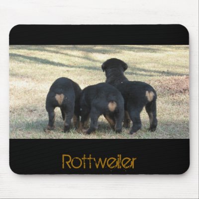 Puppy times three mouse mat by TanzbarK9