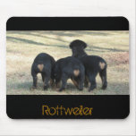 Puppy times three mouse mat
