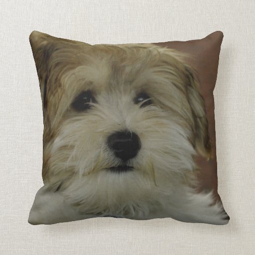 Puppy Too Cute Throw Pillow Zazzle
