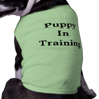 dog training t shirts
