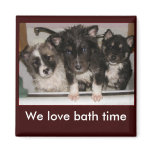 Puppy Wash Magnets