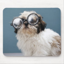 Puppy wearing thick glasses mouse pads