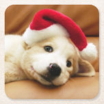 Puppy wears a christmas hat and lying on sofa square paper coaster