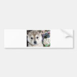 Puppy with Flowers bumper stickers