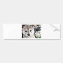 Puppy with Flowers Bumper Stickers