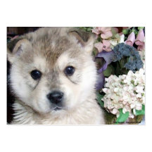 Puppy with Flowers Business Card