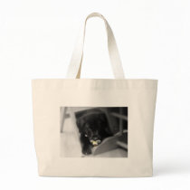 puppy with pacifier bag