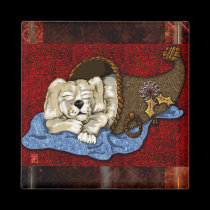 puppycopia magnets